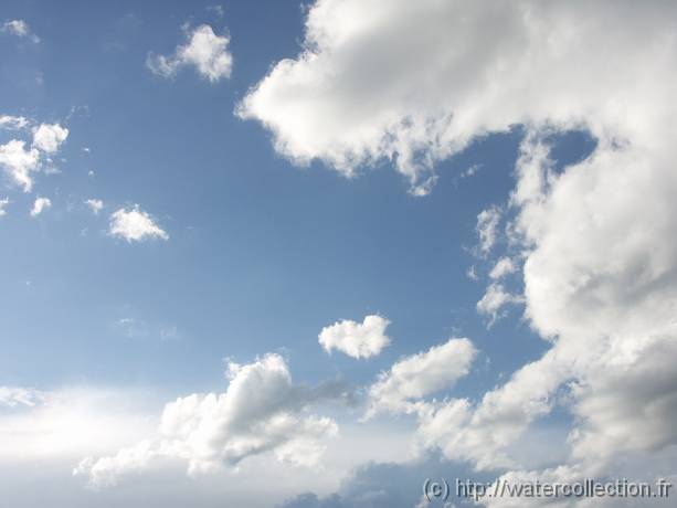 2004-08-20 18-37-55 Nature 37,0mm 1_320_eme F8,0 